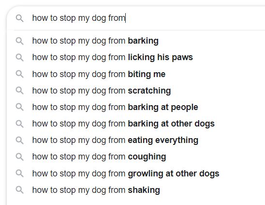 Google Search for How to Stop My Dog From