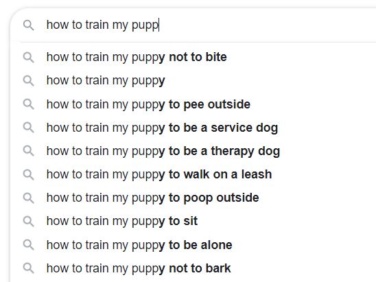 Google Search for How to Train My Puppy