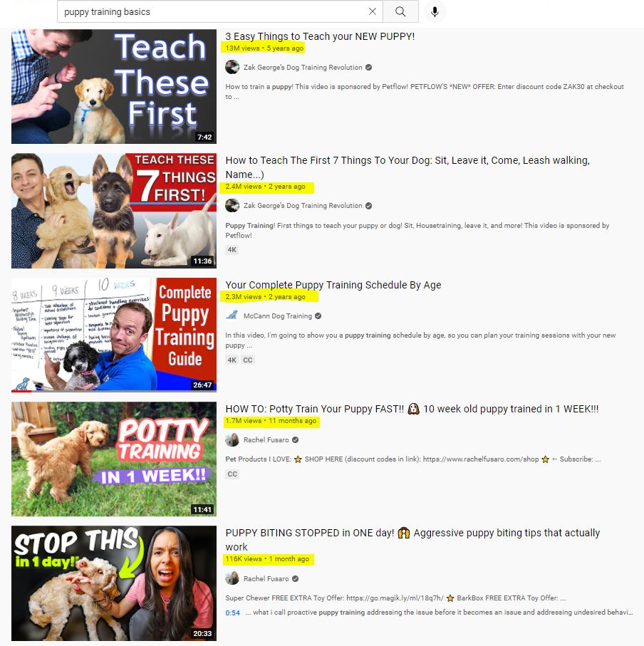 YouTube videos on Puppy Training Basics