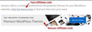 Example of Affiliate Link Placements