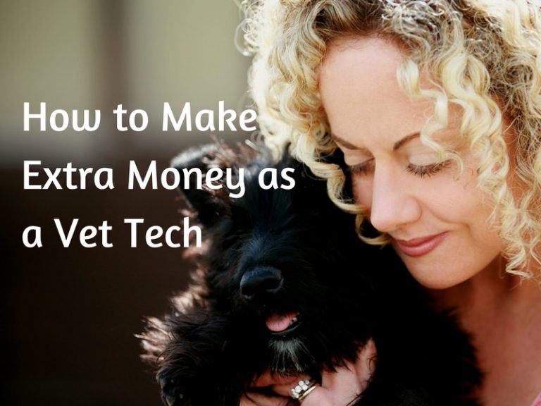 how-to-make-more-money-as-a-vet-tech-online-time-rich-worry-free