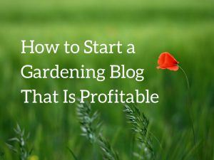 How to Start a Gardening Blog