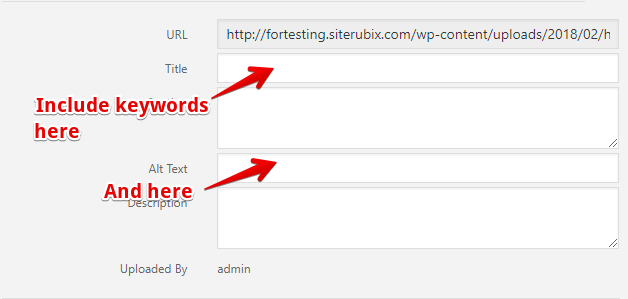 Include Keywords in Alt Text