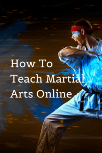 Teach Martial Arts Online - Is It a Profitable Niche