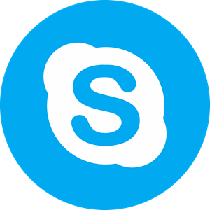 Skype Icon Logo