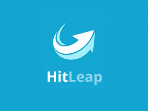 HitLeap Logo